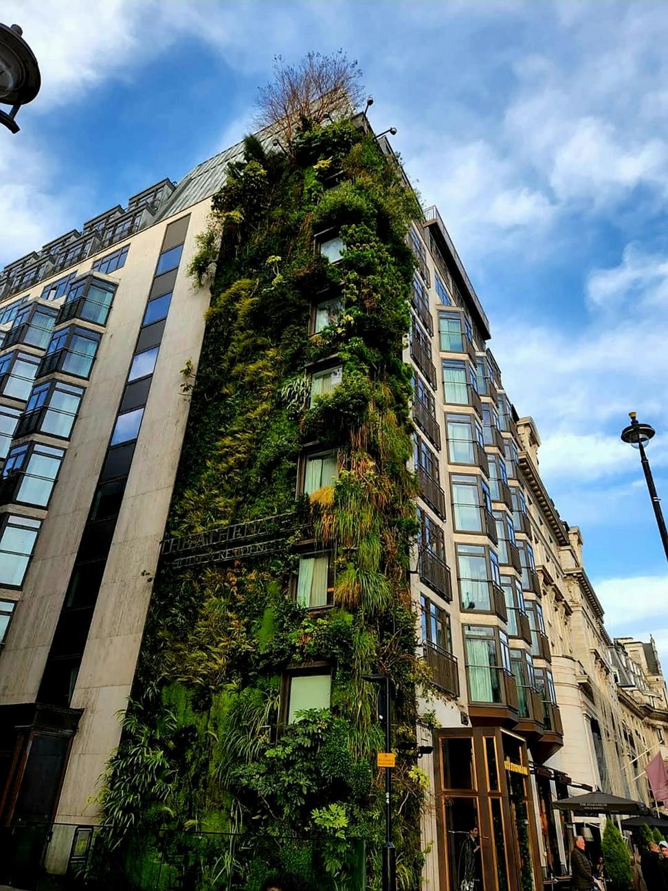 Sustainable architecture